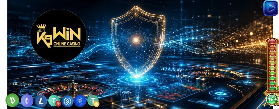 Privacy Policy K9Win Pakistan | Safe & Secure Gambling Platform