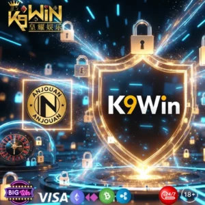 K9Win Pakistan – Your Privacy & Data Protection Policy Explained